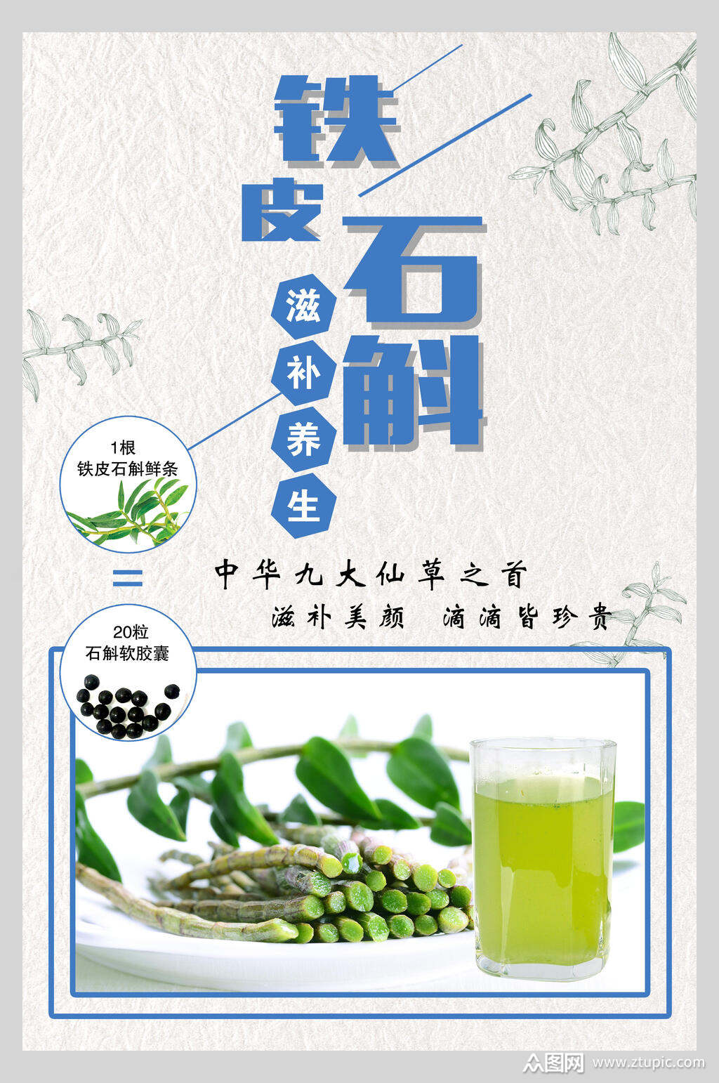 铁皮石斛能用于日常养生吗视频(铁皮石斛在养生,食用方面有何功效)-第1张图片-鲸幼网