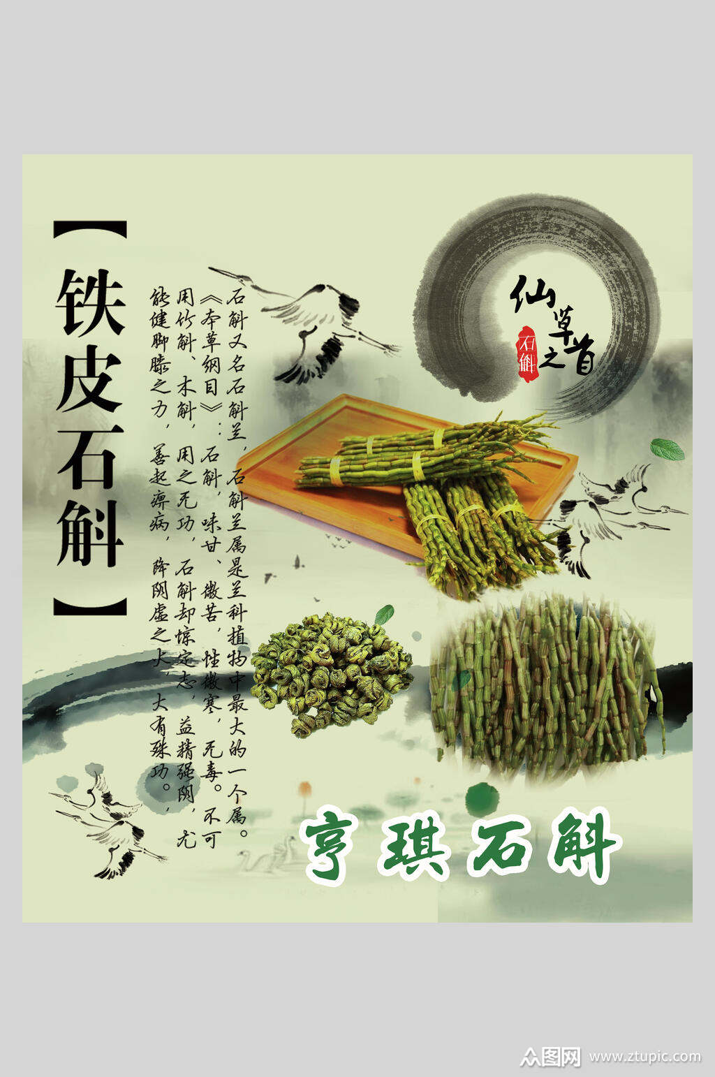 水墨风铁皮石斛中药食材海报模板下载-编号3748098-众图网