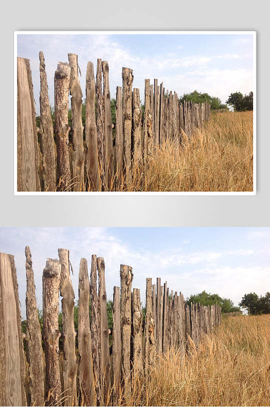 户外木纹场景图片