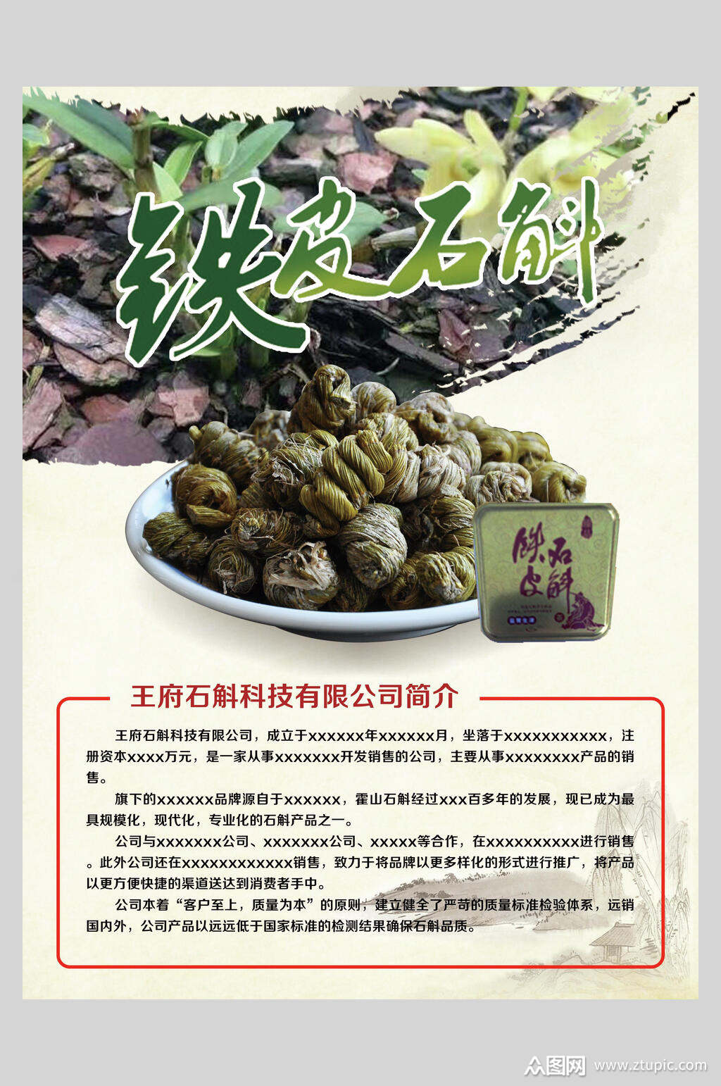 清新铁皮石斛中药食材海报素材