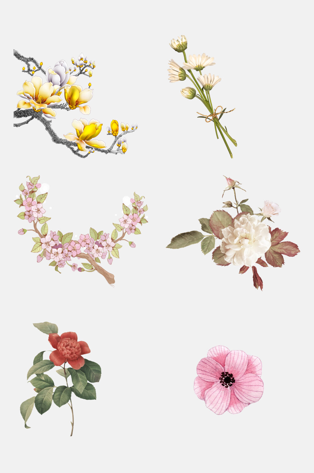 清新花朵植物花卉免抠设计素材素材