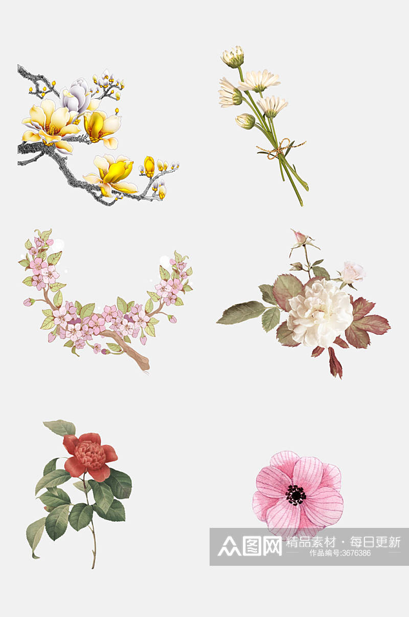 清新花朵植物花卉免抠设计素材素材