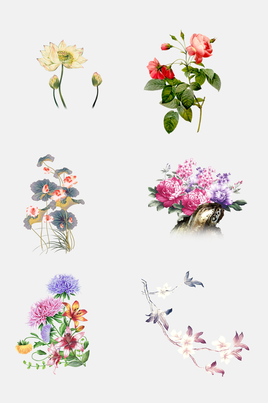 清新时尚绚丽鲜花花朵植物花卉免抠素材素材