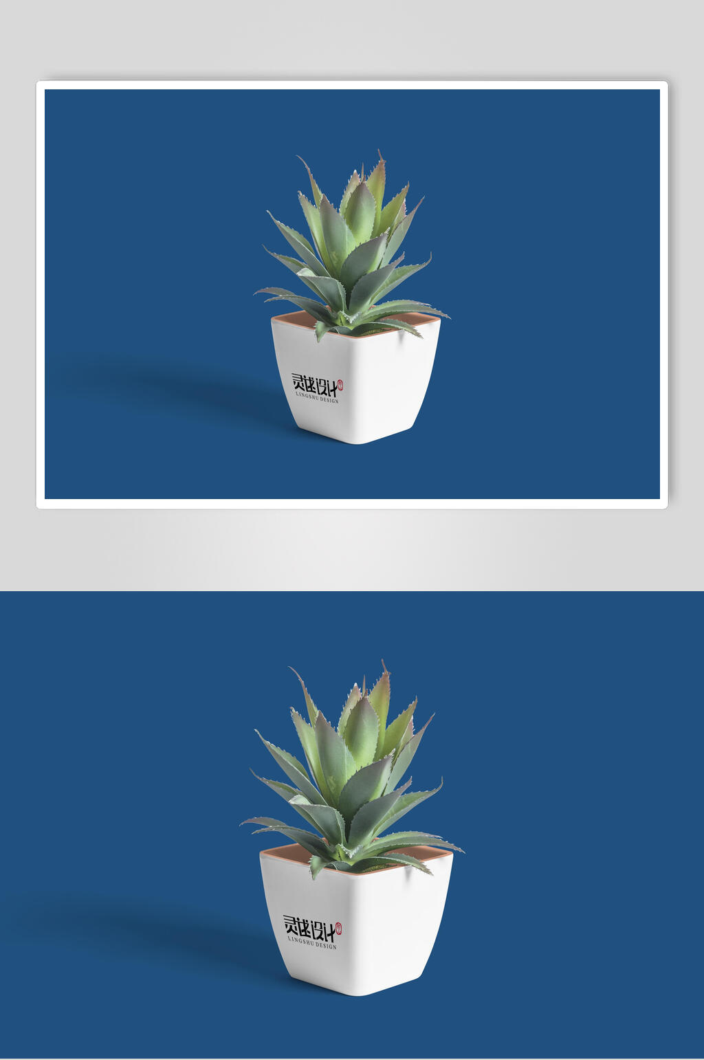植物蓝绿创意大气立体留白品牌样机素材