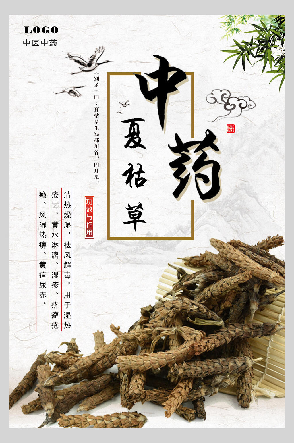 夏枯草中药养生文化海报素材