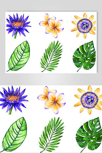 清新叶子花朵水彩植物花卉手绘矢量设计素材