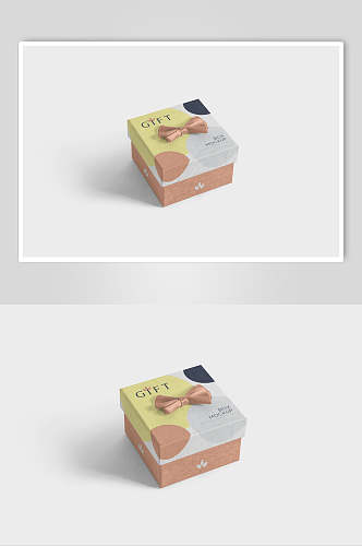 盒子方形创意大气清新简洁文创样机