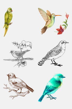 手绘漂亮鸟类动物免抠素材