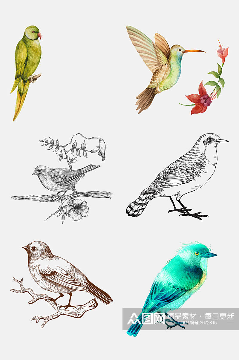 手绘漂亮鸟类动物免抠素材素材