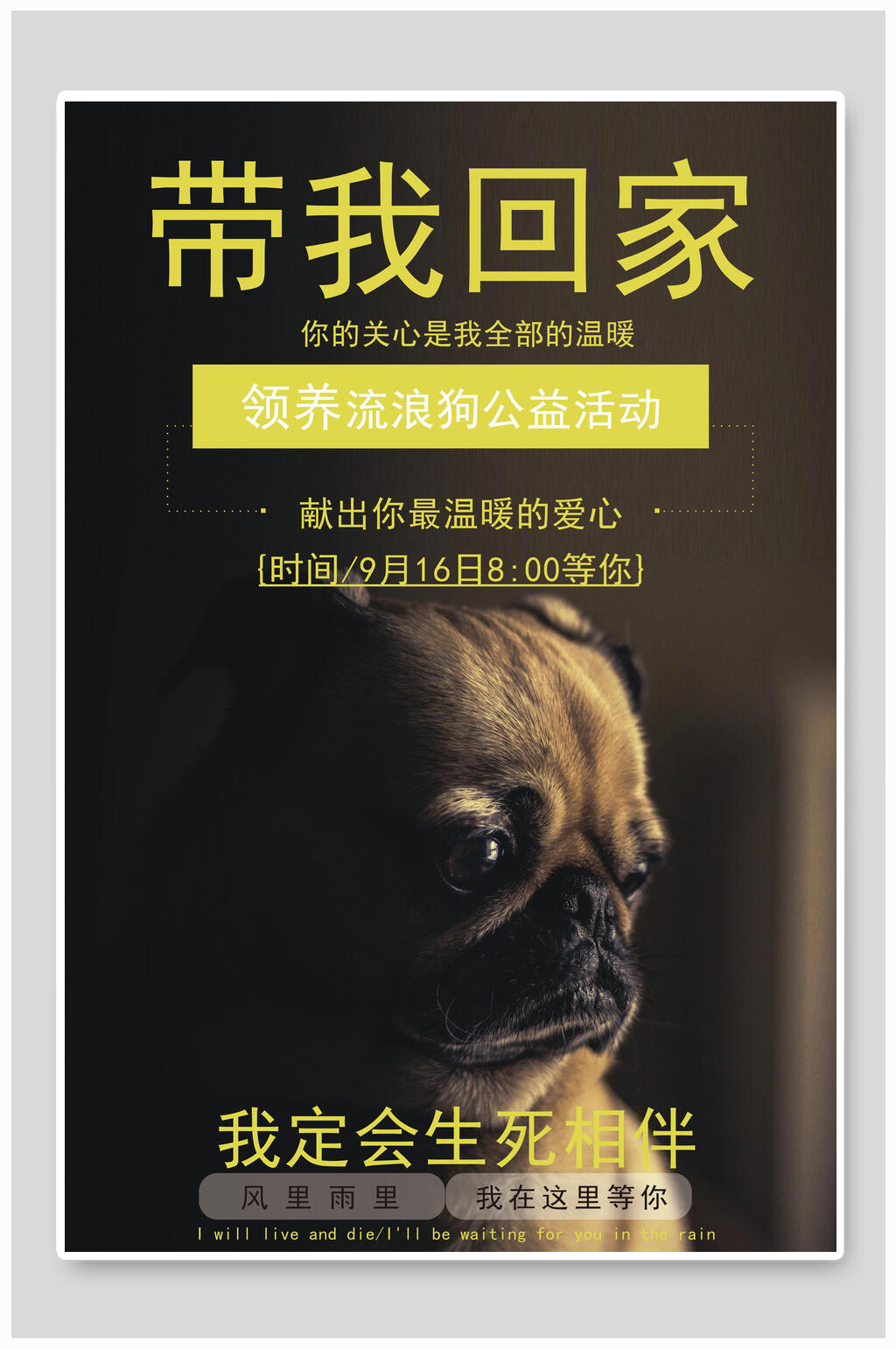 黑色宠物公益海报素材