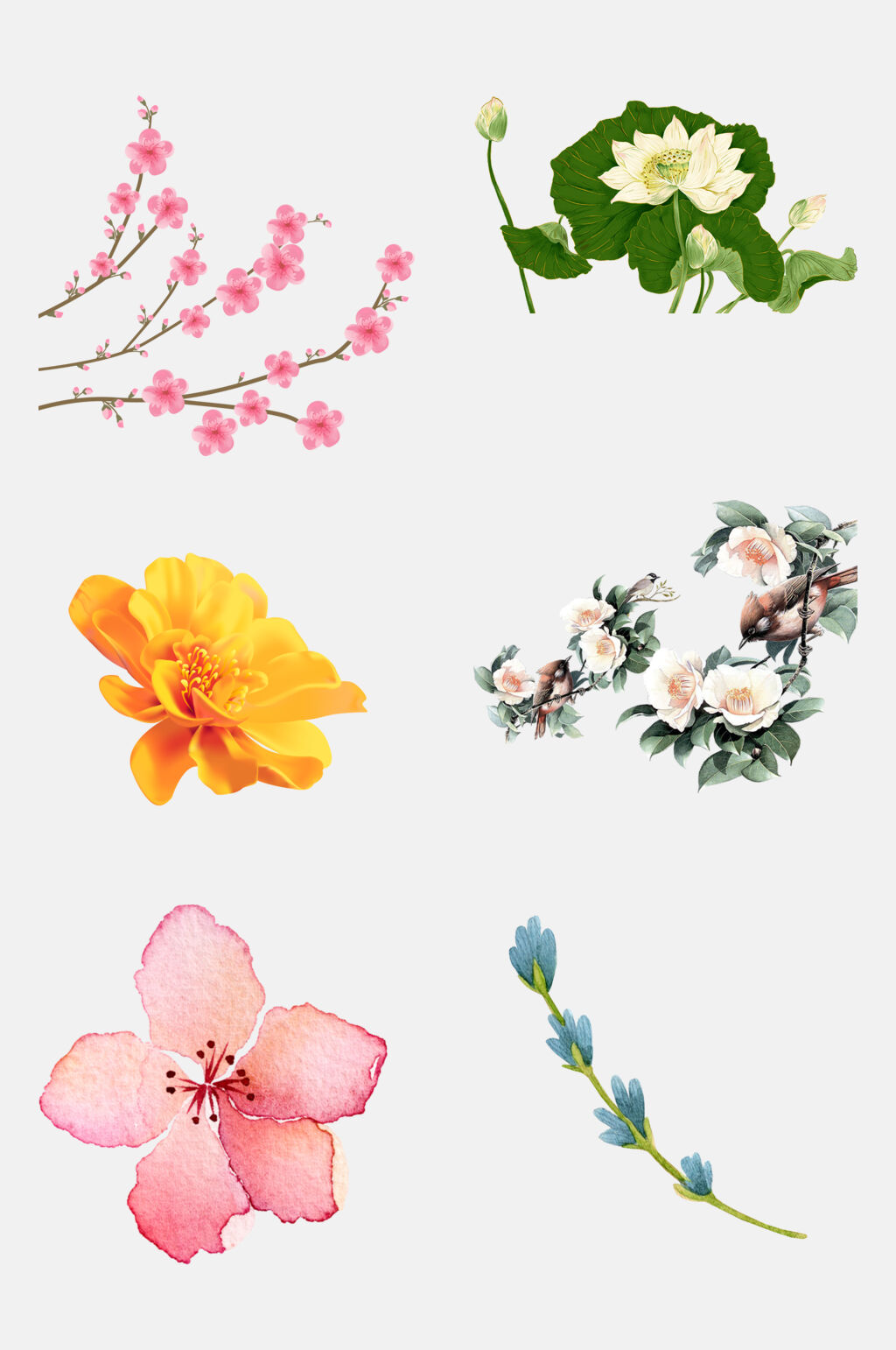 水彩鲜花花朵植物花卉免抠素材素材
