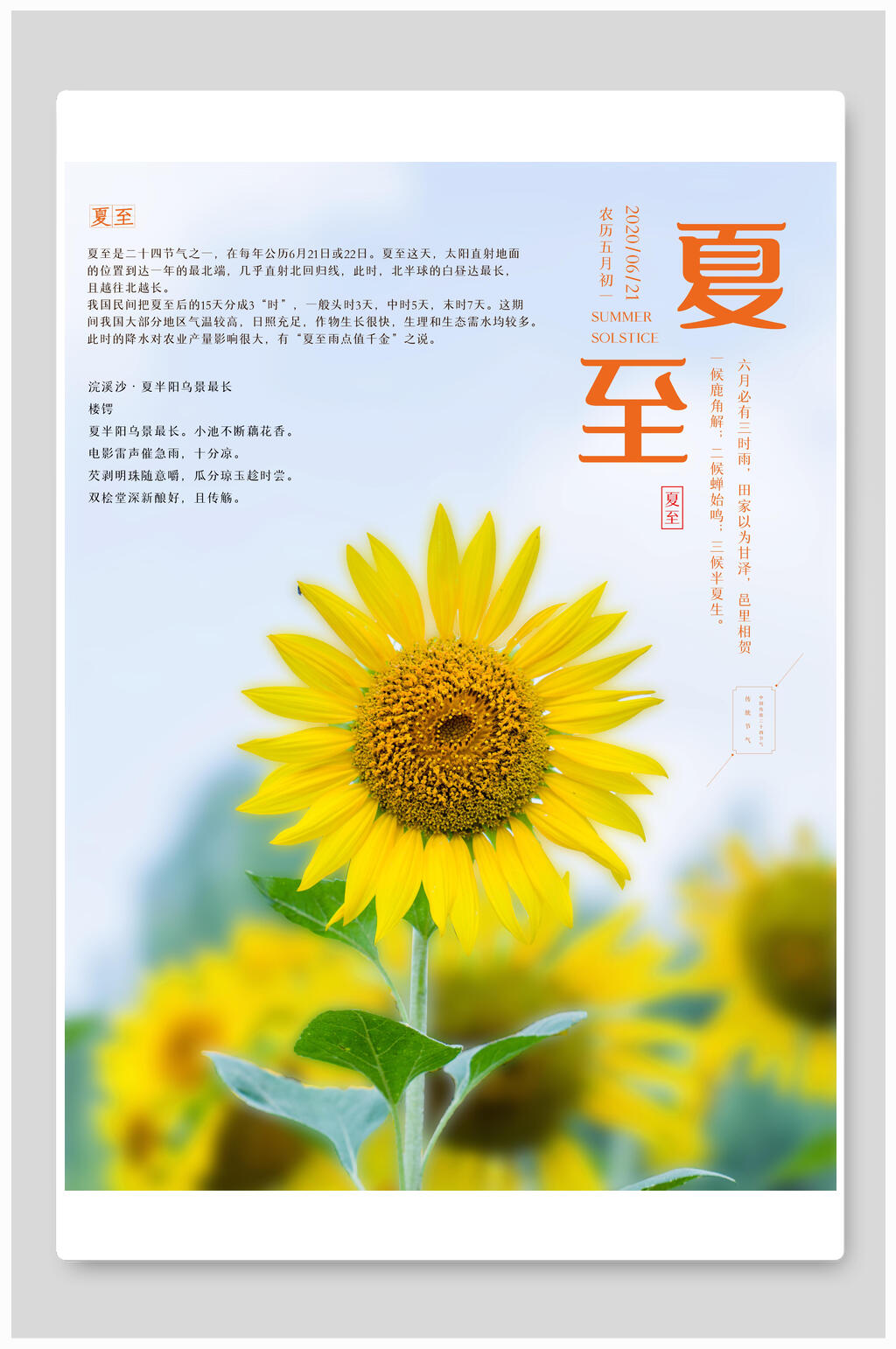 向日葵夏至海报素材