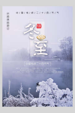 淡雅雾凇饺子冬至传统节气海报