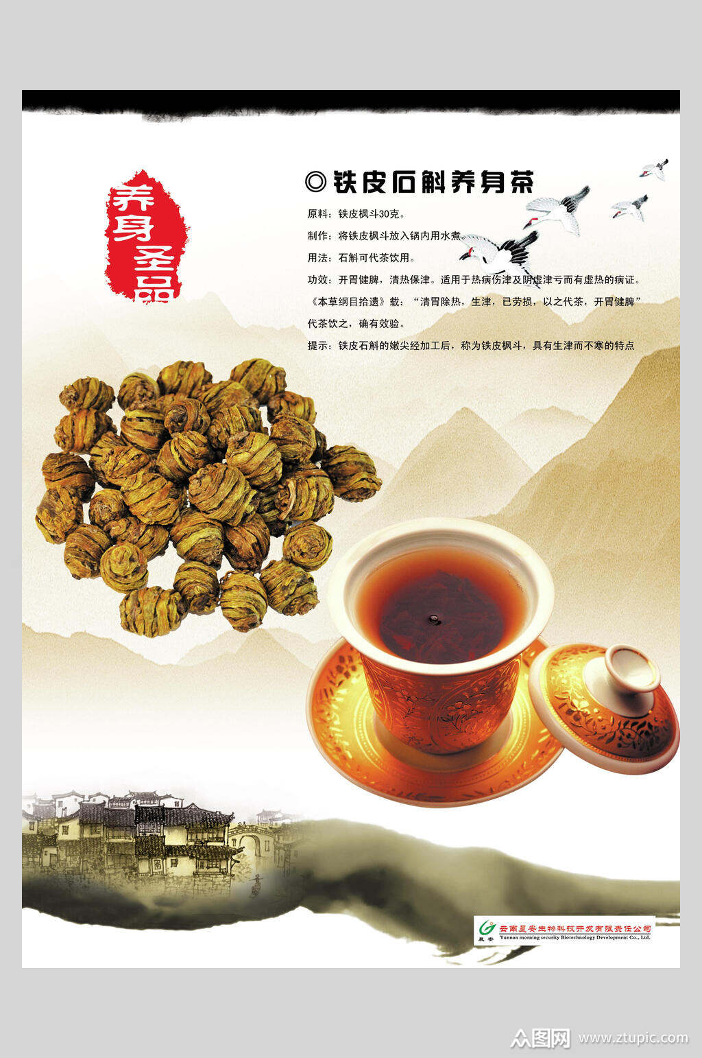 精美铁皮石斛中药食材海报素材