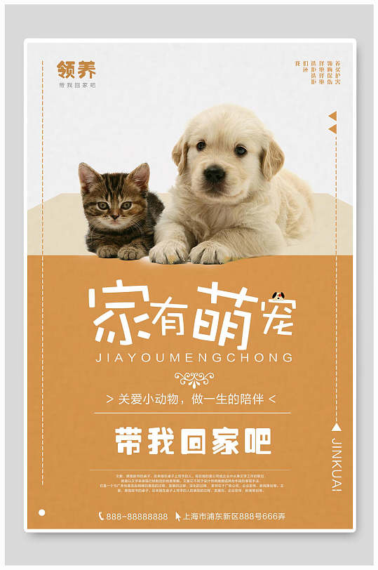猫和狗宠物公益海报