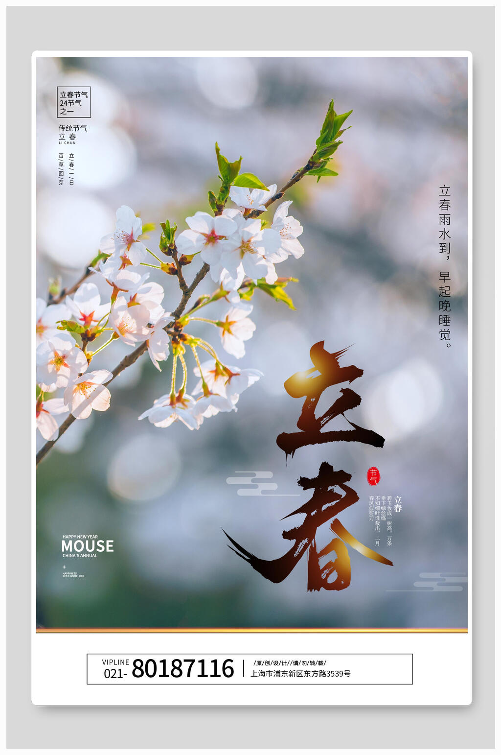精美桃花梨花立春节气海报素材
