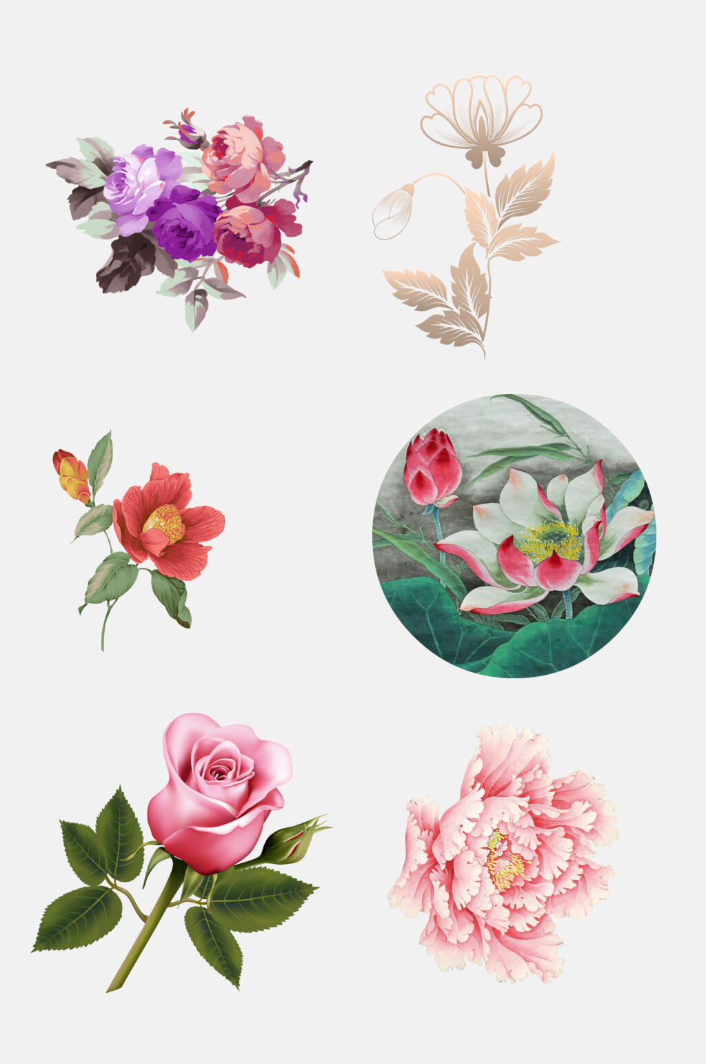 时尚水彩鲜花花朵植物花卉免抠设计素材素材