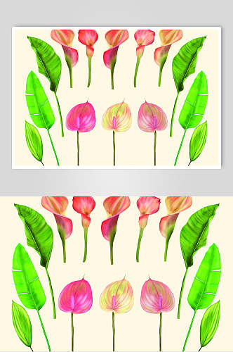 花朵水彩植物花卉手绘矢量素材