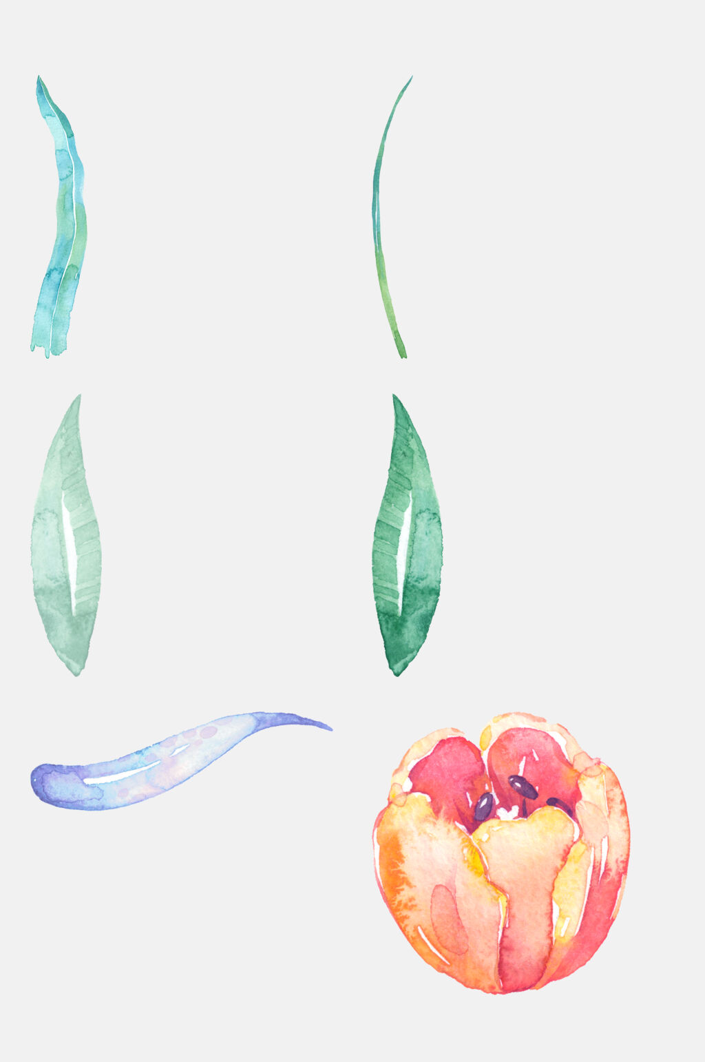 清新绿叶水彩花卉植物免抠素材素材