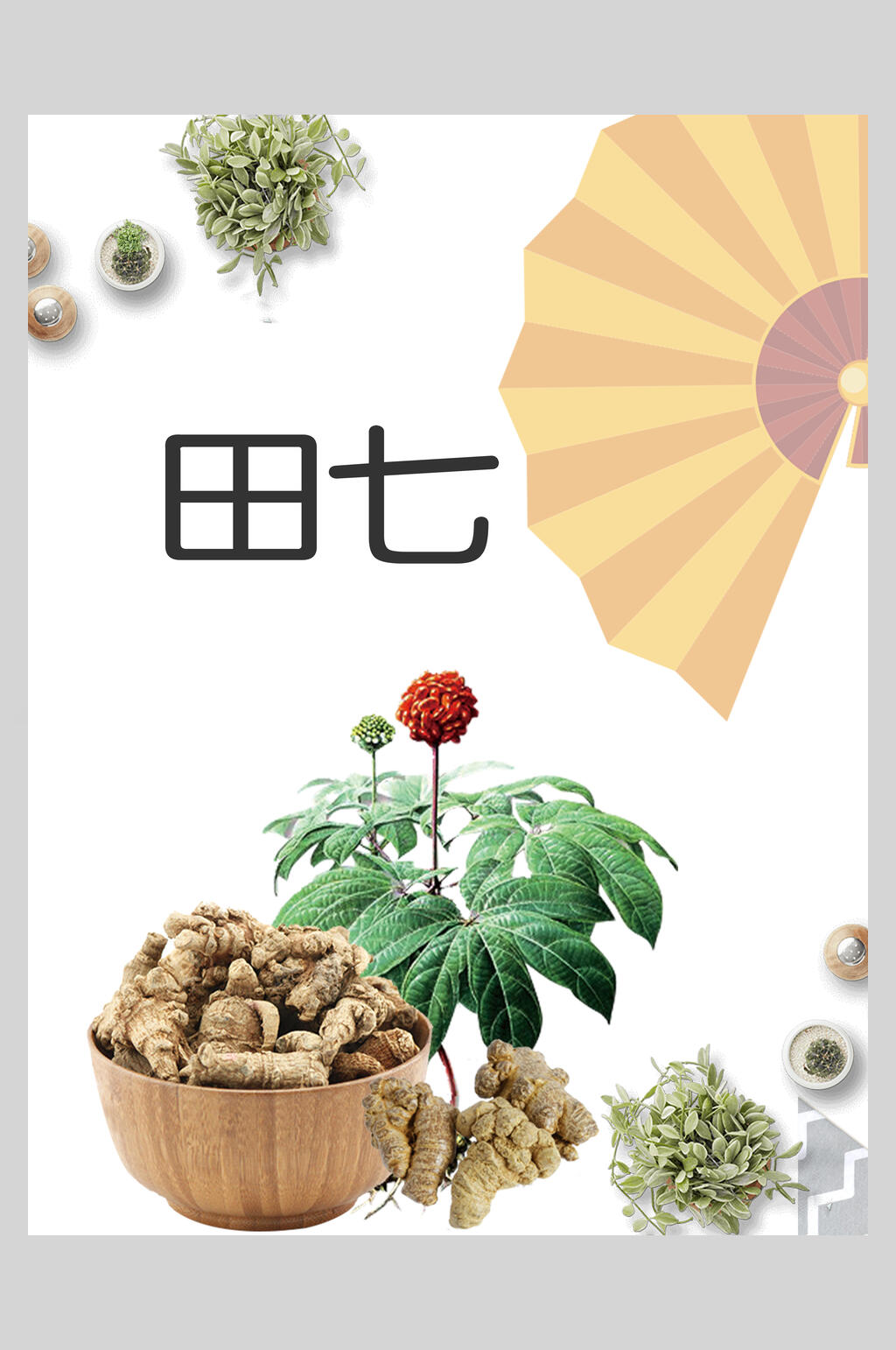 田七三七中药促销海报素材