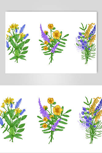 黄色花朵水彩植物花卉手绘矢量素材