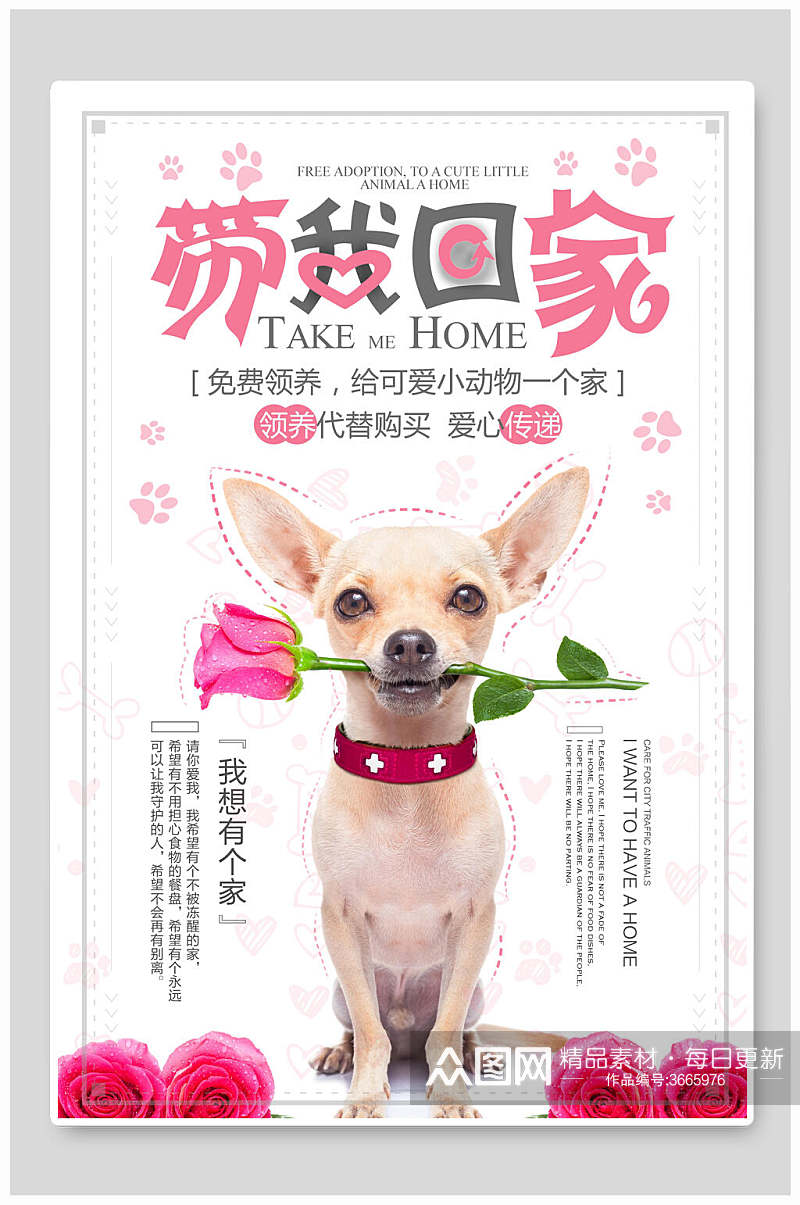 粉玫瑰宠物公益海报素材