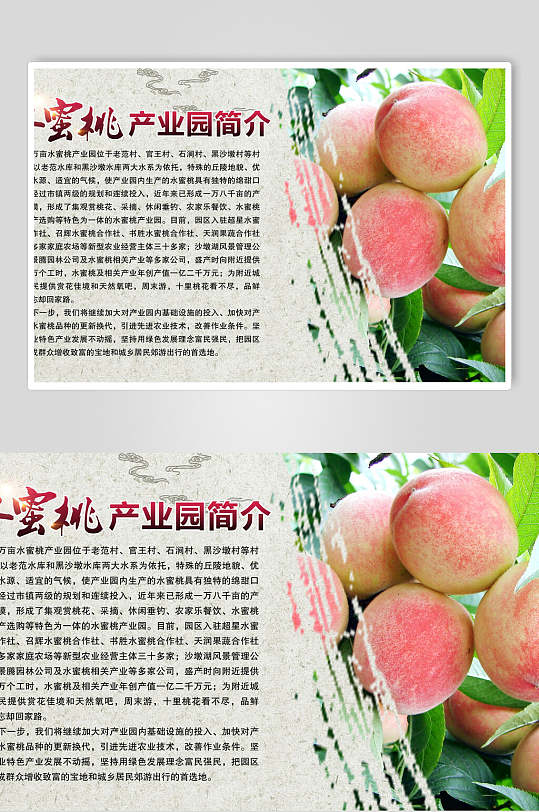 水蜜桃海报-众图网