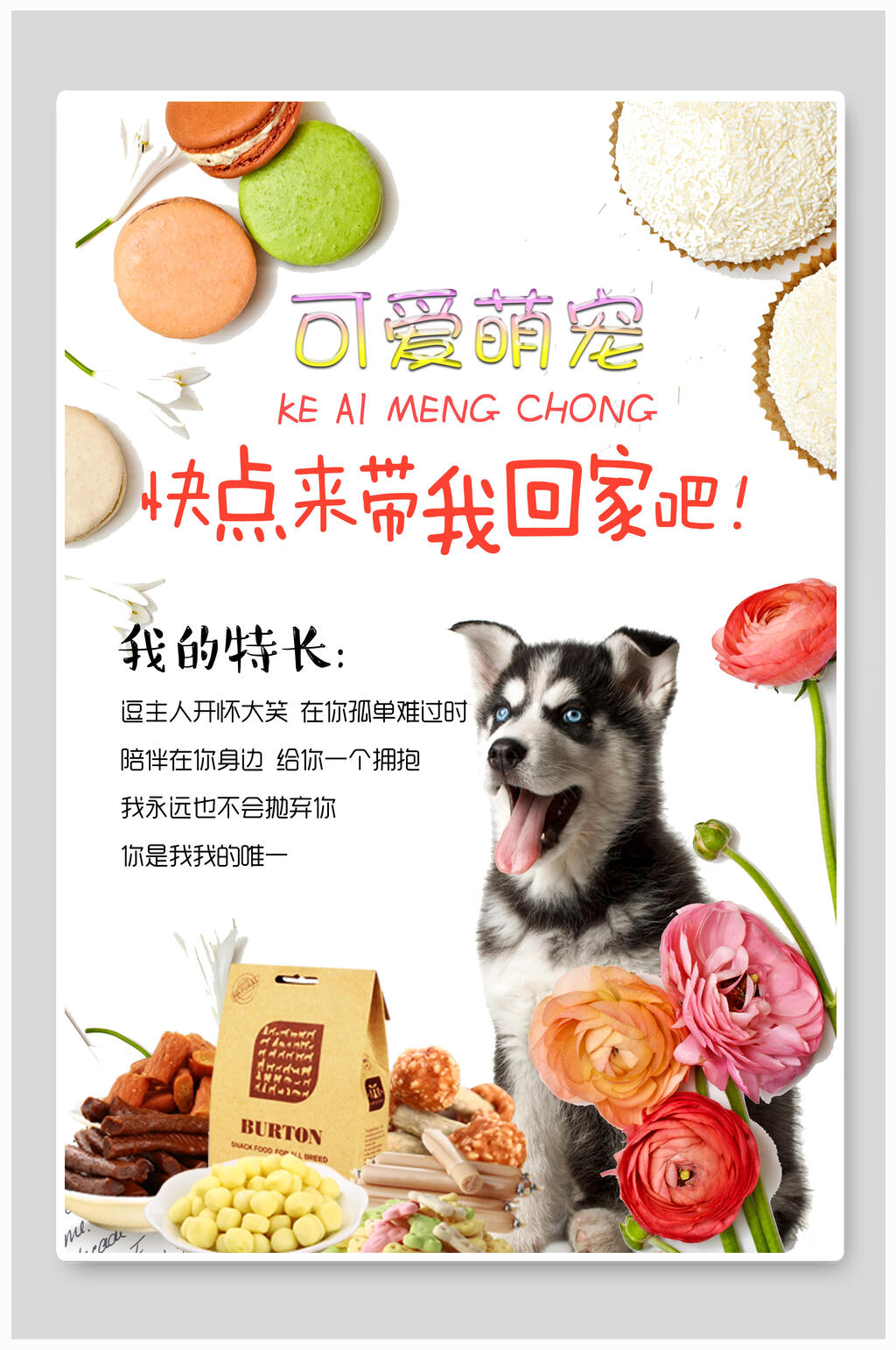 花朵零食宠物公益海报素材