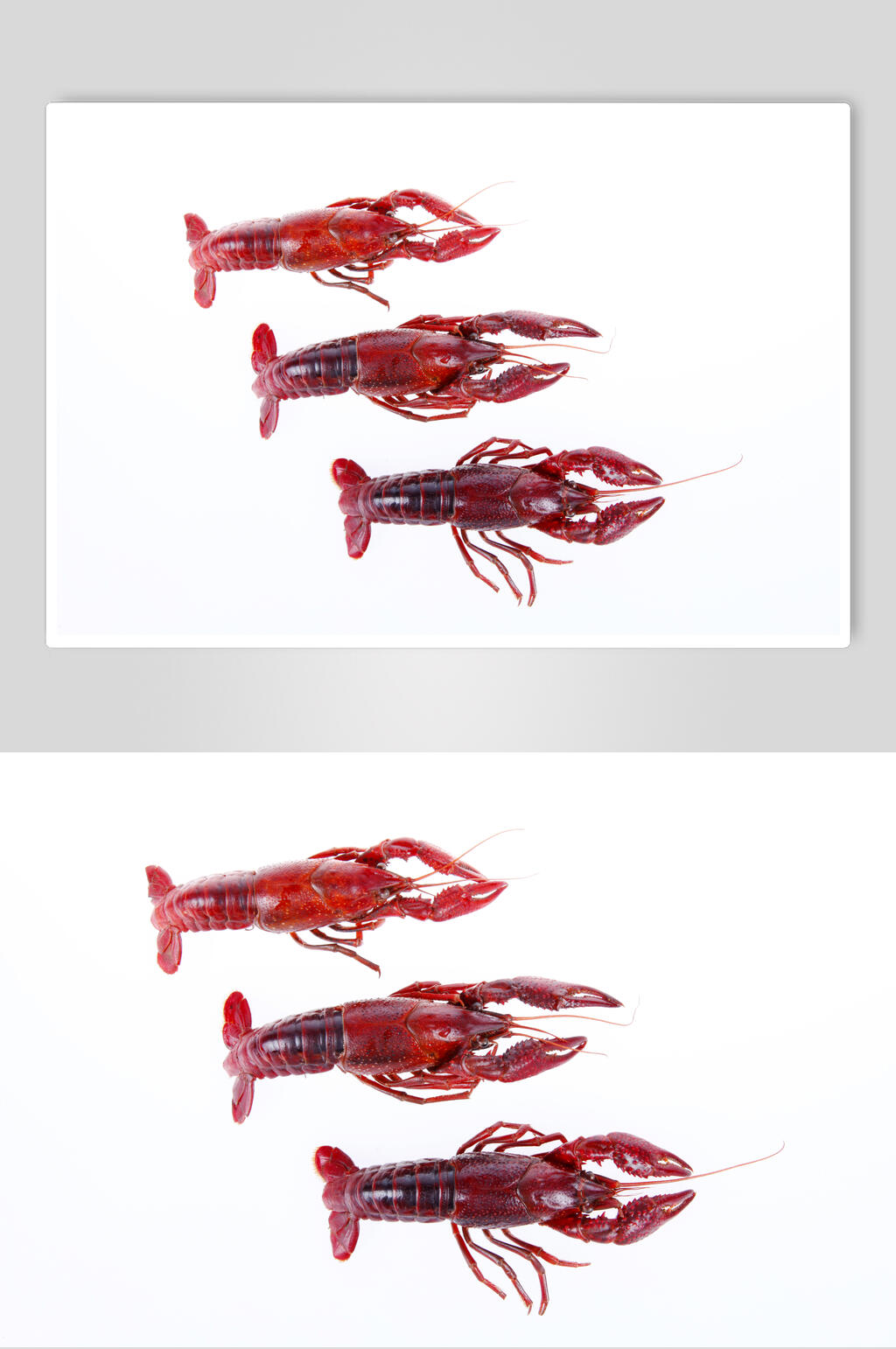 简约麻辣小龙虾高清图片素材