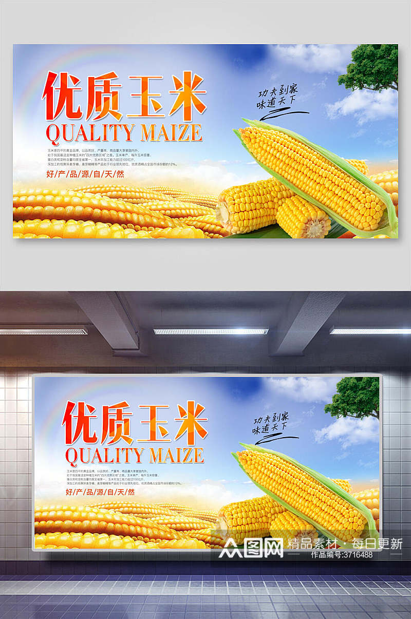 优质玉米食材促销宣传展板素材