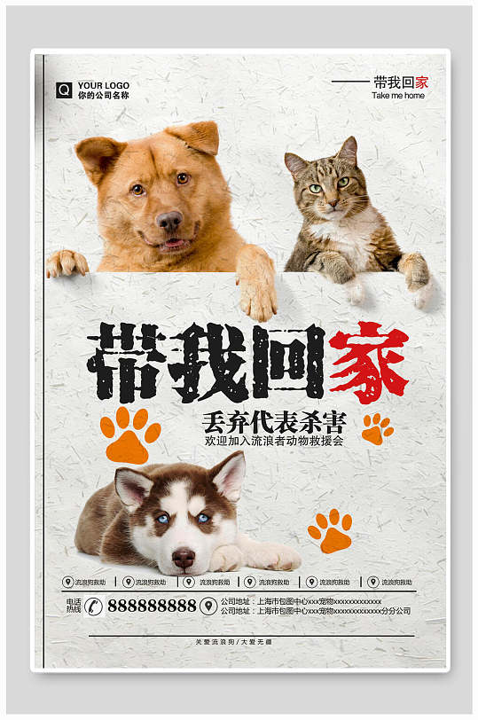 白色猫狗宠物公益海报