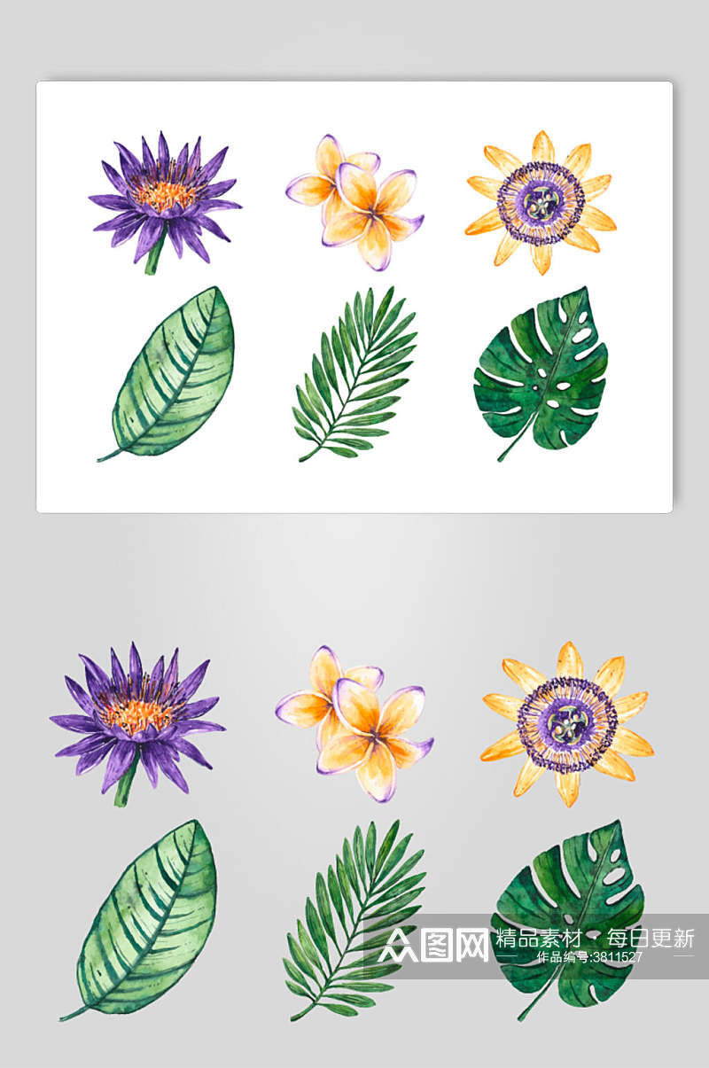 手绘水彩叶子植物花卉手绘矢量素材素材