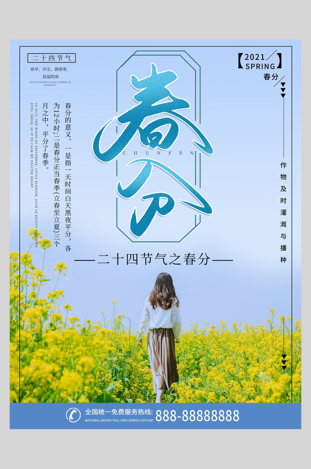 油菜花二十四节气春分宣传海报素材