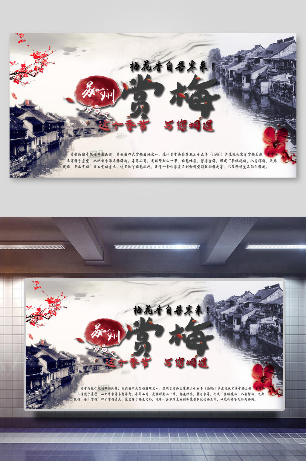 赏梅苏州宣传展板素材