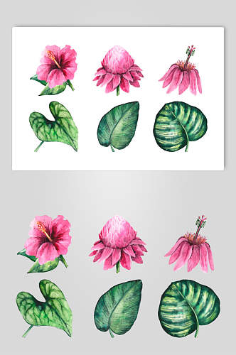 花朵叶子水彩植物花卉手绘矢量素材