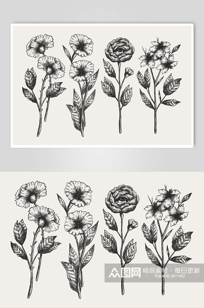 灰色手绘水彩植物花卉手绘矢量素材素材