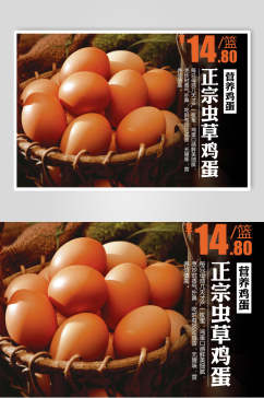 农家土鸡蛋食材促销海报