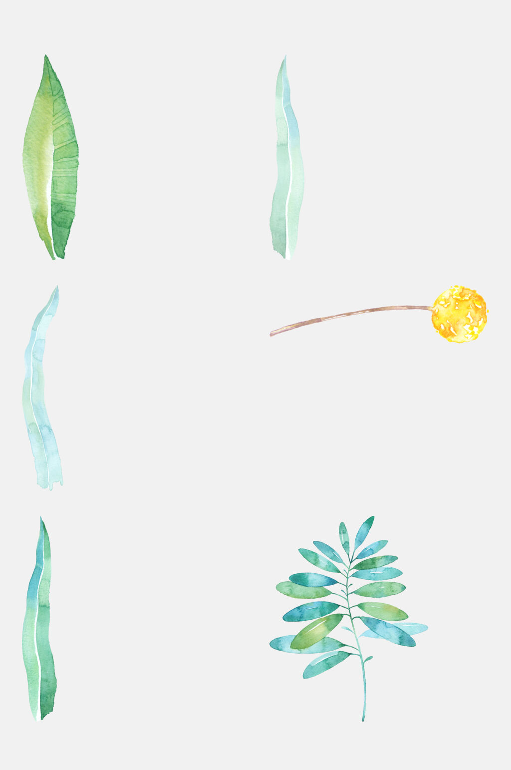 清新淡雅叶子水彩花卉植物免抠素材素材