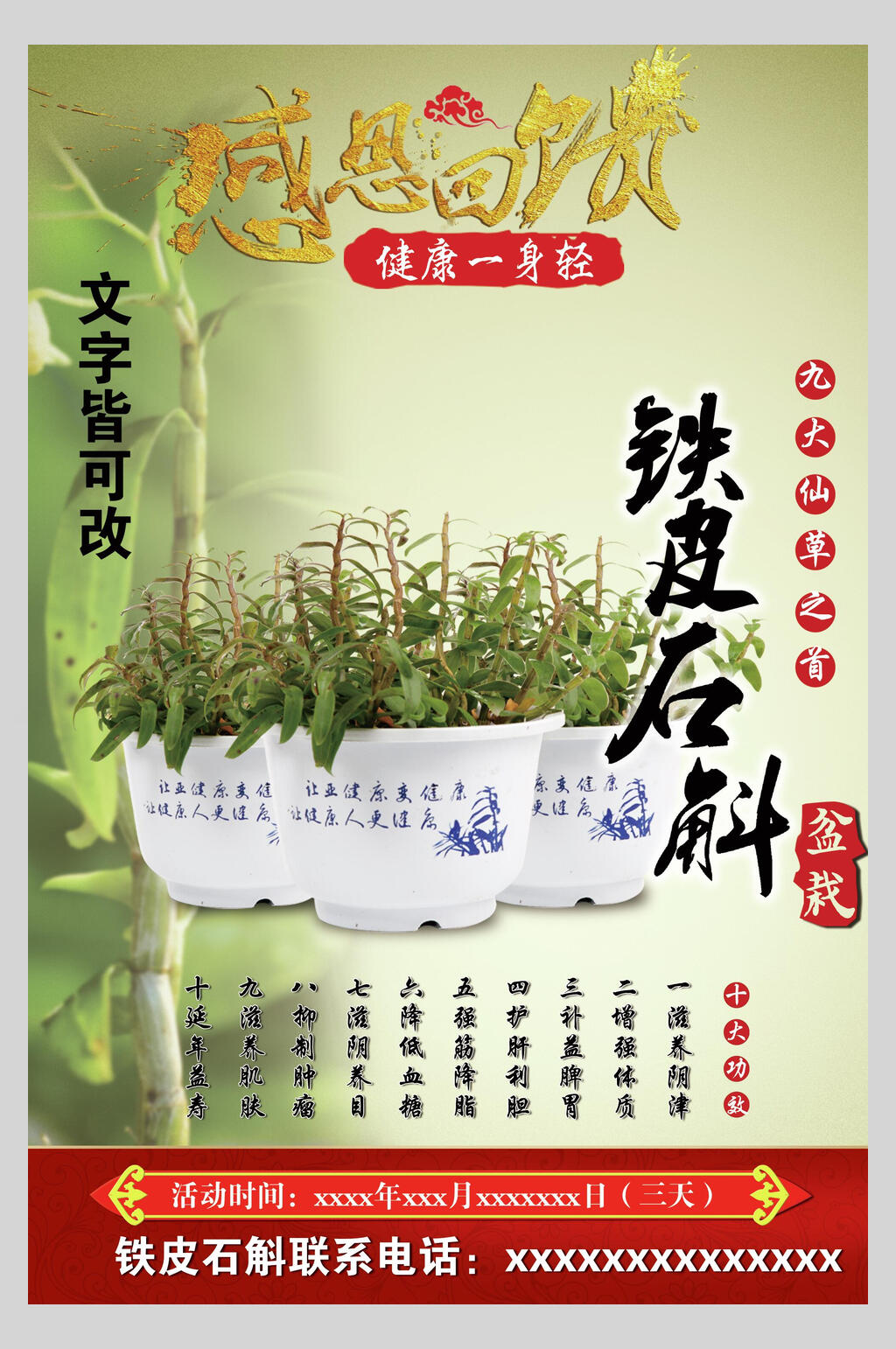 绿色铁皮石斛中药食材海报素材
