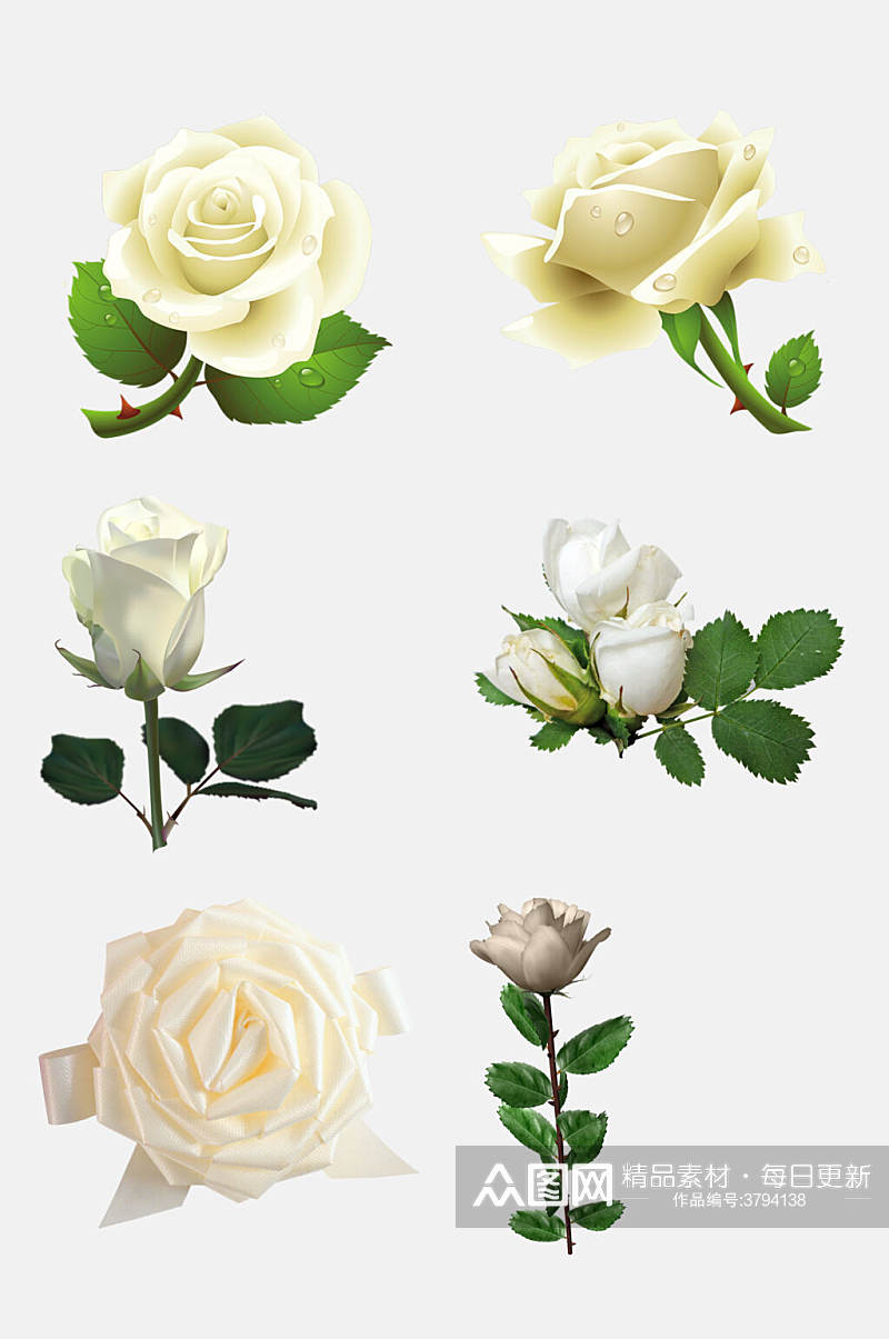 时尚白色玫瑰花朵免抠素材素材