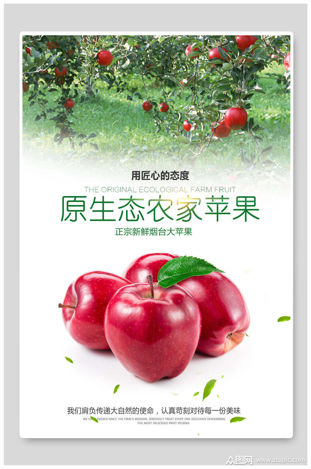 农家苹果海报素材免费下载,本作品是由月月上传的原创平面广告素材