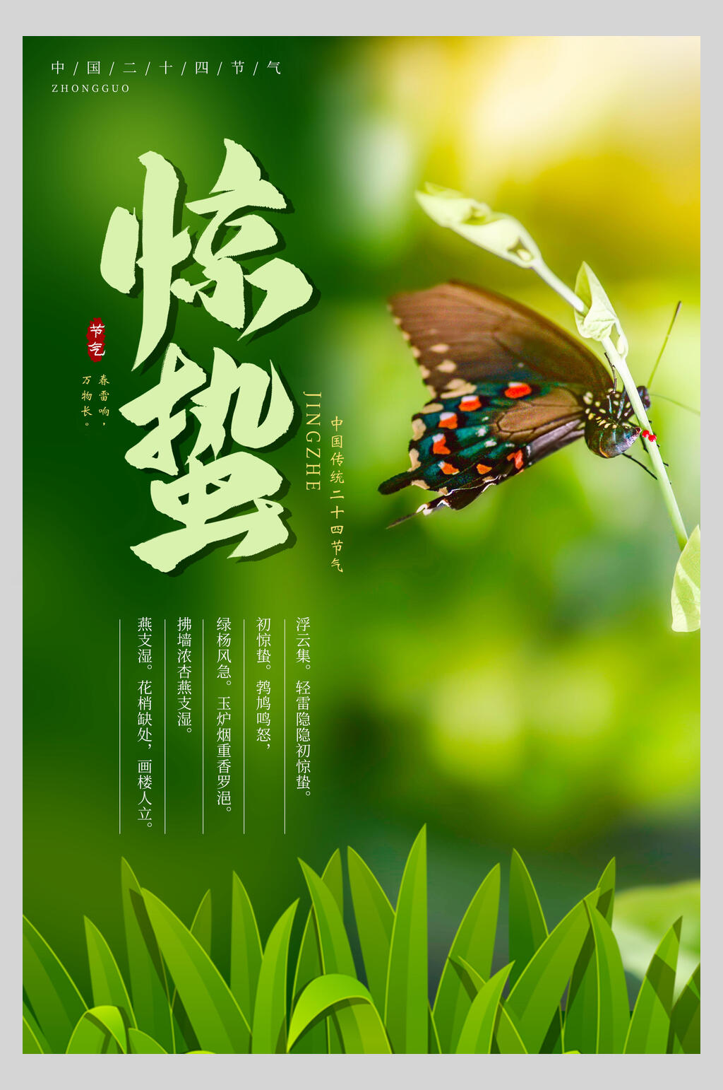 绿色清新蝴蝶惊蛰节气海报素材