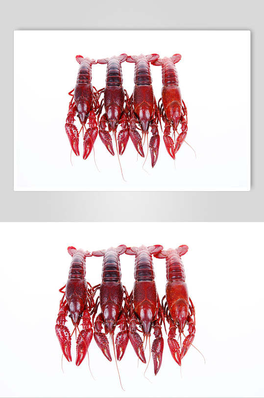 白底海鲜小龙虾美食食品摄影图片