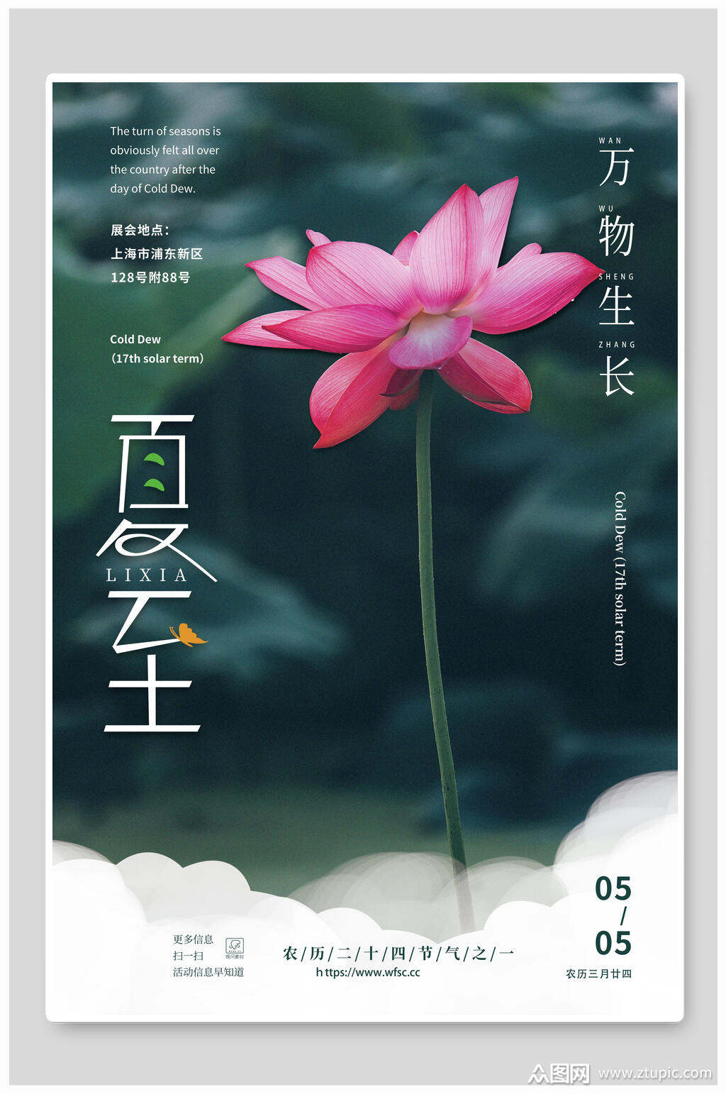 夏季荷花万物生长粉色荷花夏至节气海报