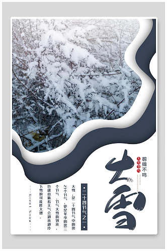 白雪雾凇大雪二十四节气海报