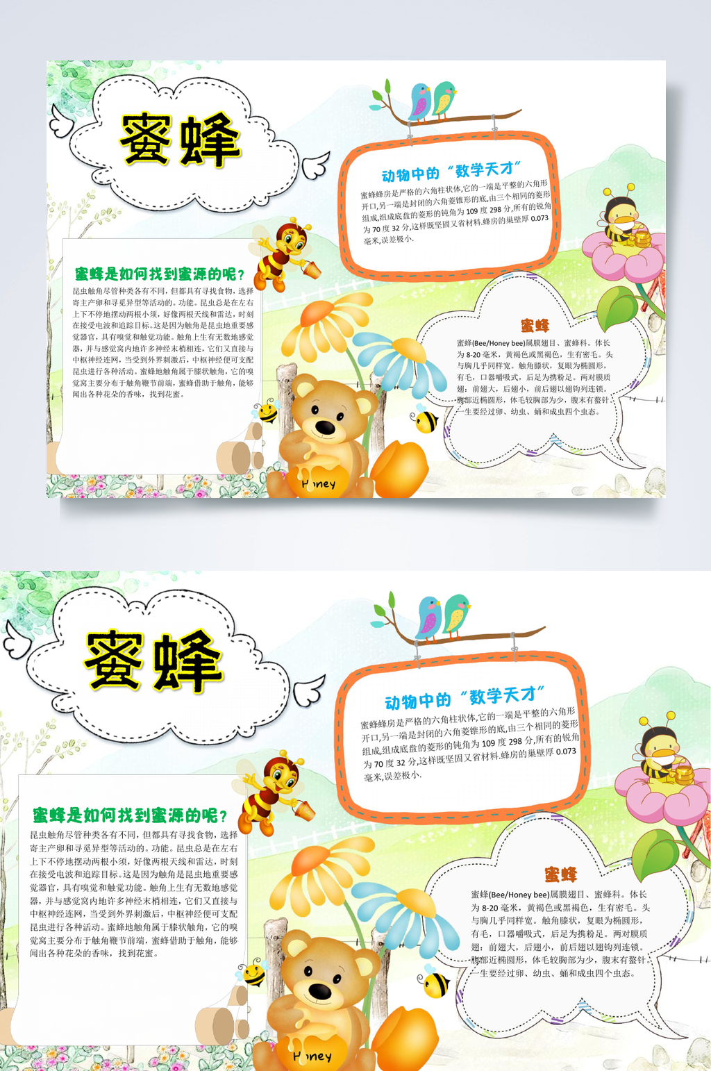 蜜蜂昆虫记小报WORD素材