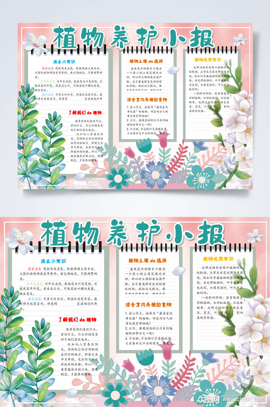 植物养护小报植物生长小报word