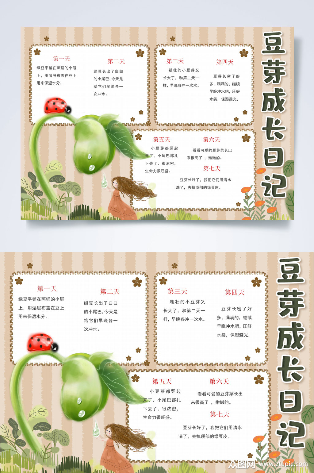 小清新简约豆芽成长日记植物生长小报word素材
