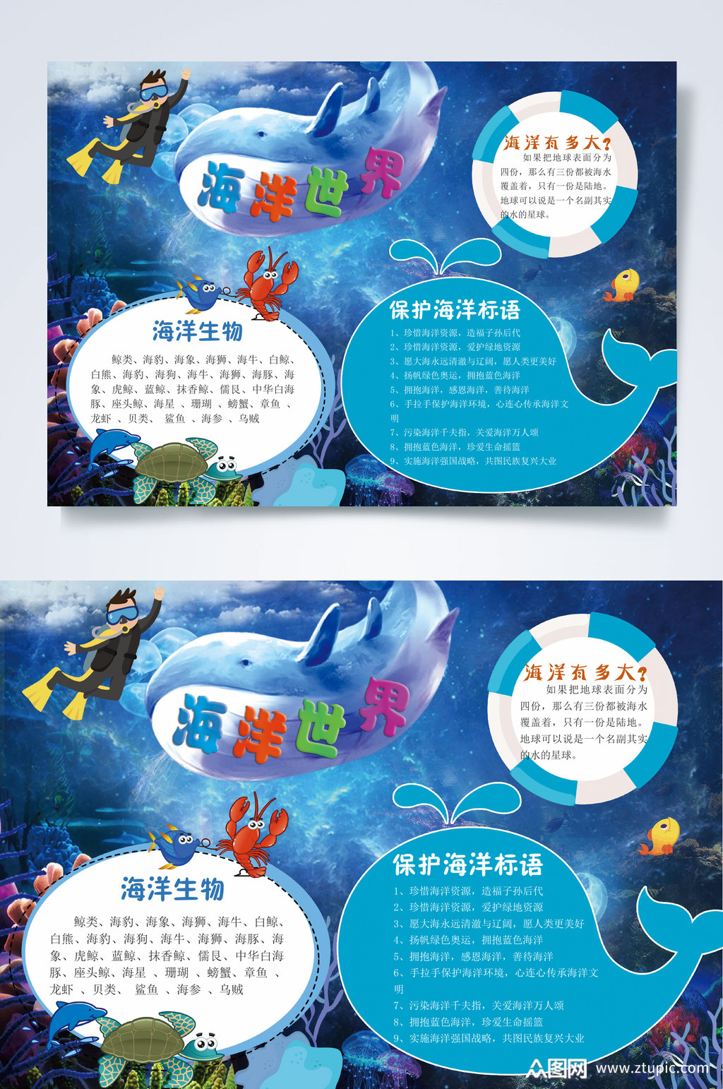 鲸鱼海底世界小报word素材