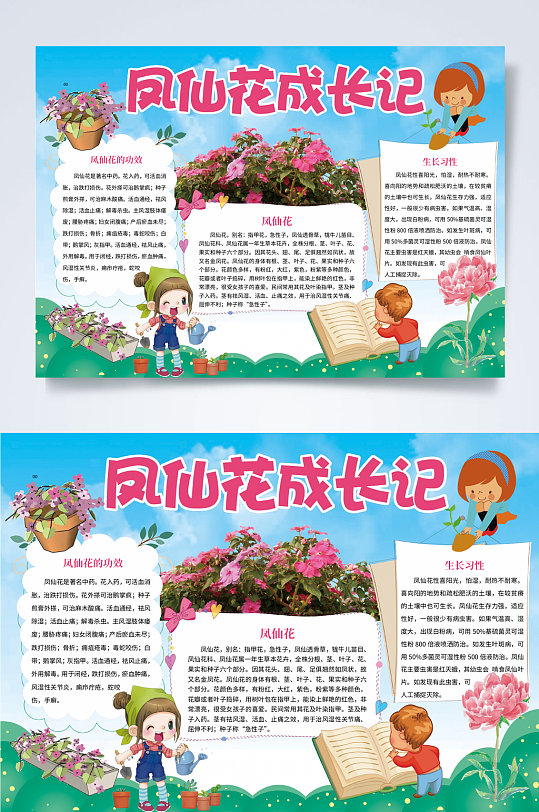 凤仙花成长记植物生长小报word